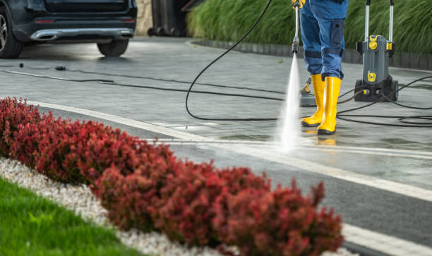 Best Sidewalk and Walkway Cleaning  in Limestone Creek, FL